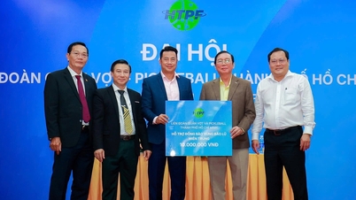 «Теніс — це процвітаючий мейнстрім поряд із яскравою сценою піклболу»