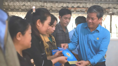 ベトナム労働総連盟、ザライ省の洪水被害を受けた労働者を支援