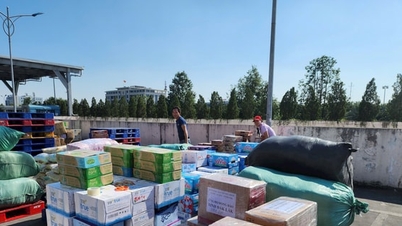 ハノイ：ボランティアが洪水被災者支援を継続