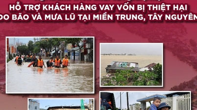 ធនាគារ Agribank កាត់បន្ថយការប្រាក់កម្ចី 2% ដើម្បីគាំទ្រអតិថិជនដែលរងផលប៉ះពាល់ដោយព្យុះលេខ 12, 13 និងទឹកជំនន់