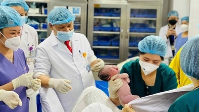 שילוב טכנולוגיה דיגיטלית באסטרטגיית הפיתוח של "כלכלת הכסף" לשירות קשישים