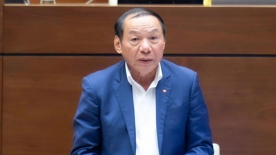 "Para obter um cartão de imprensa pela primeira vez, é necessário fazer um curso profissional e não tirar uma licença infantil."