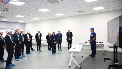 هیئت ژاپنی در حال بررسی منطقه اقتصادی ساحلی کوانگ ین است