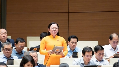 Ley de Prensa (modificada): garantizar fuentes de ingresos legales para la prensa autónoma