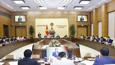 El Comité Permanente de la Asamblea Nacional emite opiniones sobre mecanismos y políticas especiales para el desarrollo de Ciudad Ho Chi Minh.