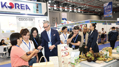 Понад 800 компаній шукають торговельні можливості на виставці Vietnam Expo HCMC 2025