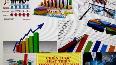 ยุทธศาสตร์การพัฒนาสถิติของเวียดนามในช่วงปี 2021–2030 ในด้านการเกษตรและสิ่งแวดล้อม
