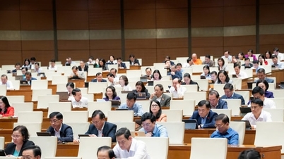 Es wird erwartet, dass Hanoi und Ho-Chi-Minh-Stadt die Erlaubnis erhalten werden, eine zentrale Agentur für Multimedia-Kommunikation einzurichten.