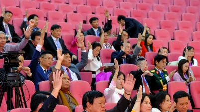 La camarada Pham Thi Phuc fue reelegida como Presidenta del Comité del Frente de la Patria de Vietnam de la provincia de Lam Dong, período I.