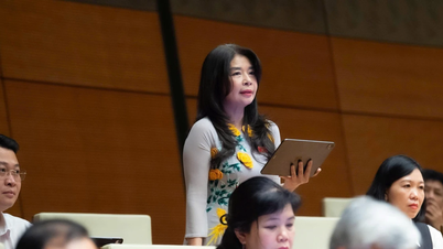 پیش‌نویس قانون مطبوعات: ایجاد «سپر» برای محافظت از مطبوعات جریان اصلی