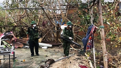 কুই নহন দং (গিয়া লাই): বন্যার পরে জীবন স্থিতিশীল করা