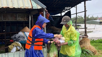 នៅពេលដែលសេចក្តីសប្បុរសត្រូវសម្របសម្រួលតាមបែបវិទ្យាសាស្ត្រ