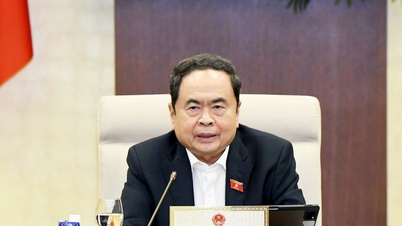 L’accent est mis sur la mise en place de mécanismes spécifiques nécessaires, performants et réalisables pour Hô Chi Minh-Ville et Da Nang.