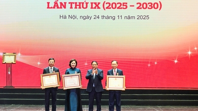 לוחם חיקוי בתעשיית הבנקאות: הכוח המניע של חדשנות והשראה