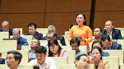 Delegados de la Asamblea Nacional proponen inversión temprana en una "plataforma nacional de prensa digital"