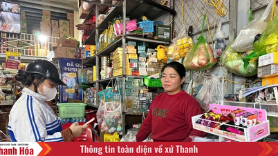 A szolgáltatások, a kereskedelem és a vidéki iparágak hozzájárulnak Nong Cong község gazdasági arculatának megváltoztatásához.