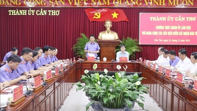 Can Tho: Urychleně vyřešit, odstranit a vyřídit nevyřízené případy