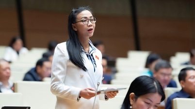 नेशनल असेंबली के प्रतिनिधियों ने प्रस्ताव दिया है कि यदि डिजिटल प्लेटफॉर्म्स सूचना उद्धृत करते हैं तो उन्हें प्रेस को भुगतान करना होगा।