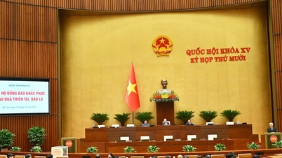 Comunicat de presă nr. 27, a 10-a sesiune, a 15-a Adunare Națională