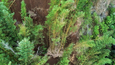Blijf dringend mensen evacueren uit het gebied van de aardverschuiving op de Trang Bang-heuvel