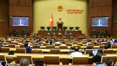 Ministro Nguyen Van Hung: Pronto elaboraremos una estrategia de desarrollo de la prensa