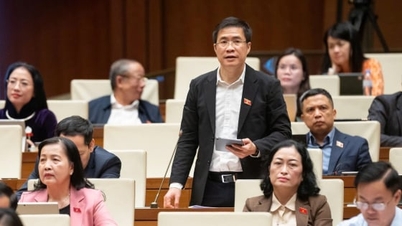 Національні збори запропонували вивчити та доповнити суміжні права для інформаційних агентств.