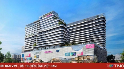 TTC Land שכרה בהצלחה את כל בניין המשרדים בשטח של יותר מ-22,000 מ"ר ב-TTC Plaza Da Nang