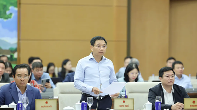 ومن المنتظر أن يتم منح العديد من الآليات المتميزة لمدينة هوشي منه.