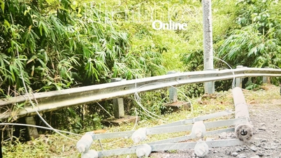 Perusahaan Listrik Khanh Hoa bekerja siang dan malam untuk memperbaiki masalah listrik setelah banjir