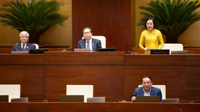 Закон о прессе (с поправками): предложение об усилении прав журналистов на безопасность