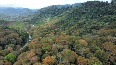 Люди у високогір'ї Нгеан заможніші завдяки розподілу землі та лісів.