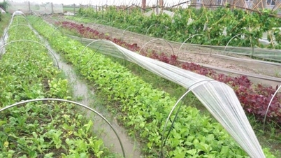 „Oblast poznání“ v Noi Bai