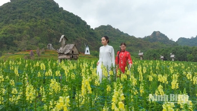 گردشگری نین بین: تلاش برای بهبود از «کمیت» به «کیفیت»