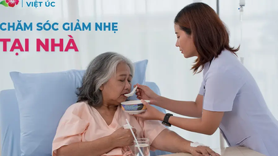 Ismerje meg a palliatív ellátást a Viet-Uc Családorvosi Klinikával