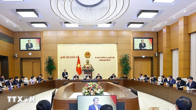 Необходимо сосредоточить усилия на особой политике развития Хошимина и Дананга.