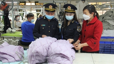 Gümrük sonrası muayene: Daha profesyonel bir süreç için yenilik