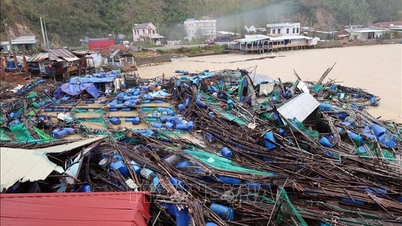বন্যার ক্ষয়ক্ষতিতে ভিয়েতনামের প্রতি সমবেদনা জানালো রাশিয়া ও শ্রীলঙ্কা
