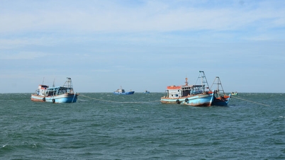 An Giang reagerar på tropiskt lågtryck nära Östersjön