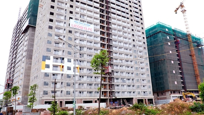 باک نین: افتتاحیه مسکن اجتماعی برای فروش در پروژه مسکن اجتماعی منطقه مسکونی شماره ۳، بخش باک گیانگ