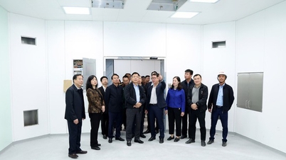 Preparar planes de recursos humanos y equipos para operar el Hospital Duc, Bach Mai, sucursal 2