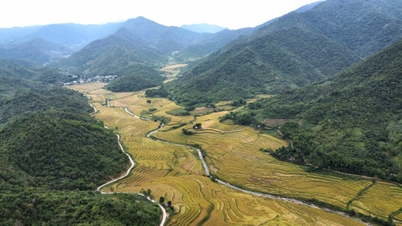 찹쌀 - 광찌에우의 빈곤을 줄이는 지속 가능한 방법