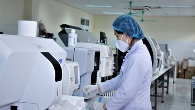 Bilim, Teknoloji, İnovasyon ve Dijital Dönüşüm: Ho Chi Minh Şehrinde Yeşil Dönüşümü ve Sürdürülebilir Kalkınmayı Teşvik Etmek İçin Stratejik Atılımlar