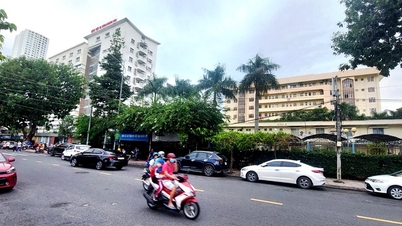 Pemeriksaan kesihatan dan ubat percuma untuk mangsa banjir di Dien An dan Dien Dien pada 25 November lalu