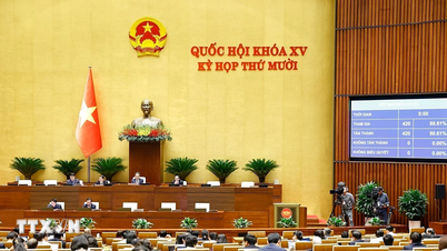 قرار الجمعية الوطنية بشأن تخصيص الميزانية المركزية لعام 2026