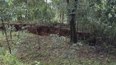 Wzgórze pękło, na wielu dużych obszarach doszło do osuwisk, dziesiątki gospodarstw domowych w Dak Lak musiały się ewakuować