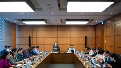 کفایت شعاری اور انسداد فضلہ سے متعلق مسودہ قانون: وسائل کا موثر استعمال - کفایت شعاری اور فضلہ کا بنیادی عنصر