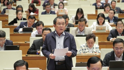 Под субъектом понимается агентство, контролирующее активы и доходы.