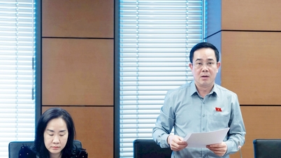 Исследование дополнительных механизмов, требующих обратной связи по результатам надзора со стороны Национальной ассамблеи