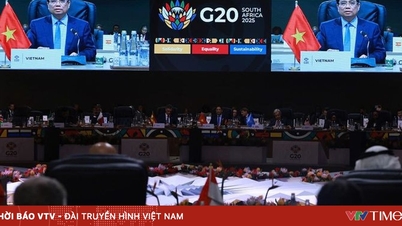 פתיחת פרק חדש ביחסי וייטנאם עם כווית, אלג'יריה ודרום אפריקה