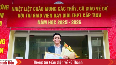 Professores jovens inovam ativamente em métodos de ensino.